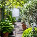 Altstadt Апартаменты Кобленц