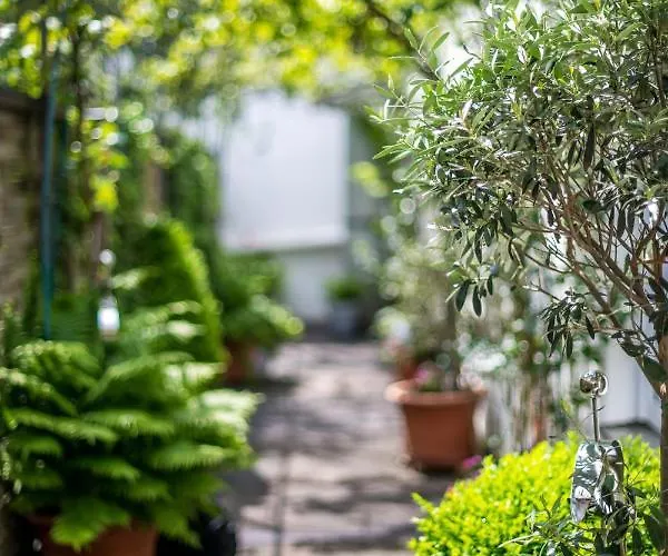 Altstadt Apartamento Coblenza